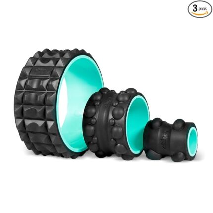 Chirp Wheel XR Acupressure - Back Relief and Muscle Relaxation, Stress Melting, and Spine Comfort, Targeted Trigger Point Release, Comfort Cushioning - Mint, 10"